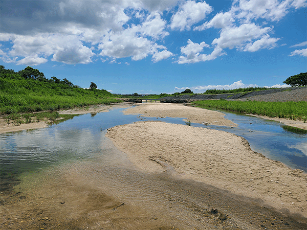 嘉瀬川｜下流