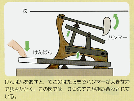 教科書に載っているピアノの鍵盤とハンマーの図
