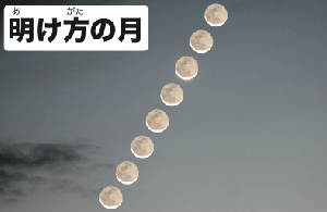 明け方の月